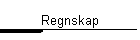 Regnskap